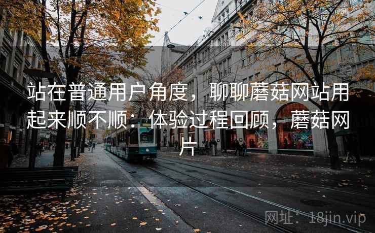 站在普通用户角度，聊聊蘑菇网站用起来顺不顺：体验过程回顾，蘑菇网片  第2张