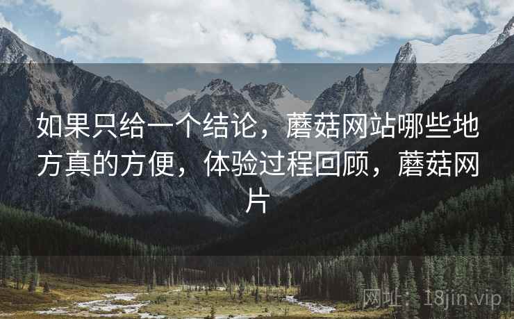 如果只给一个结论，蘑菇网站哪些地方真的方便，体验过程回顾，蘑菇网片  第2张