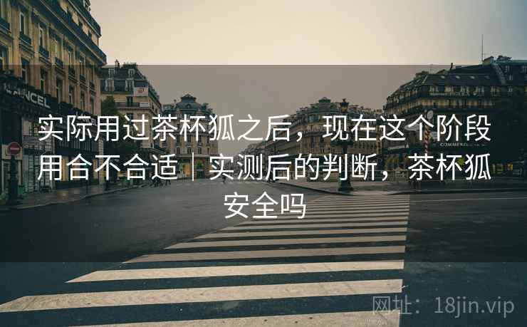 实际用过茶杯狐之后,现在这个阶段用合不合适|实测后的判断,茶杯狐安全吗
