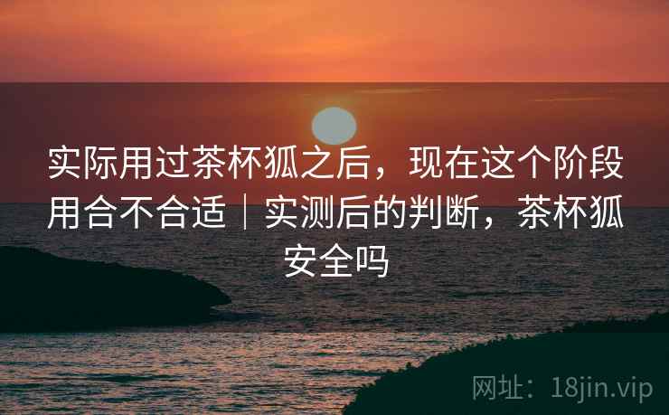 实际用过茶杯狐之后，现在这个阶段用合不合适｜实测后的判断，茶杯狐安全吗  第2张